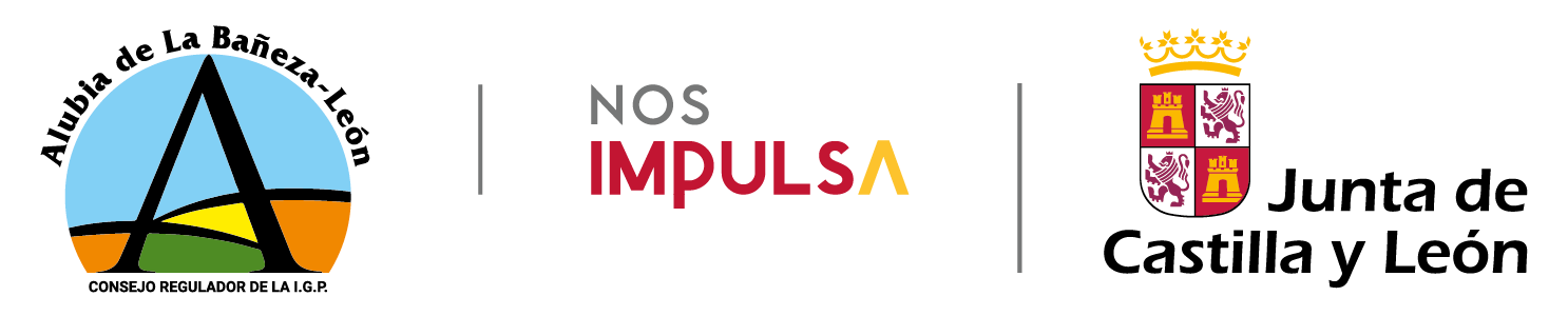Logo Nos Impulsa JCyL